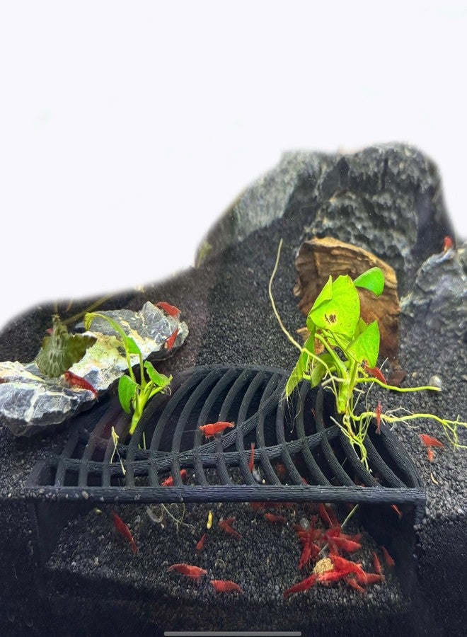 LifeWithPets Shrimp Breeding Hide | Shrimp Cave | Shrimp Hide | Tunnel | Black - Image 2